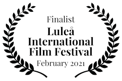Finalist - Lulea International Film Festival